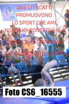 CS6_16555-