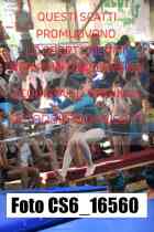 CS6_16560-