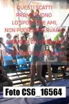 CS6_16564-