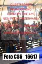 CS6_16617-