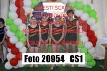20954_CS1-