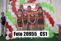 20955_CS1-