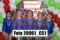 20961_CS1-