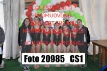 20985_CS1-