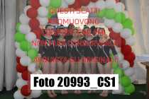 20993_CS1-