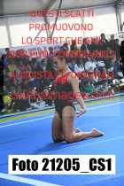 21205_CS1-
