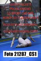 21287_CS1-