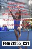 21355_CS1-