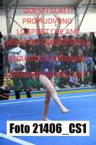 21406_CS1-