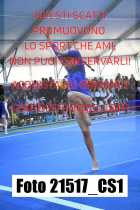 21517_CS1-