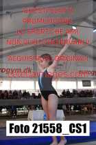 21558_CS1-