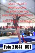 21641_CS1-
