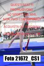 21672_CS1-