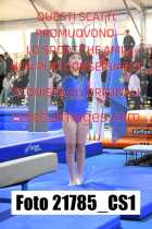 21785_CS1-