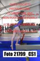 21799_CS1-