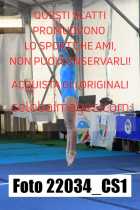 22034_CS1-