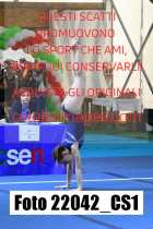 22042_CS1-