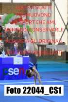 22044_CS1-