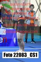 22083_CS1-
