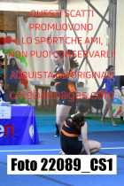 22089_CS1-