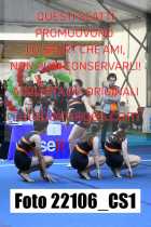 22106_CS1-