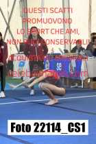 22114_CS1-