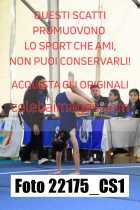 22175_CS1-
