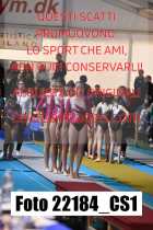 22184_CS1-