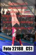 22188_CS1-