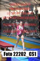 22202_CS1-