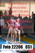 22206_CS1-