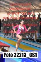 22213_CS1-