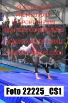 22225_CS1-