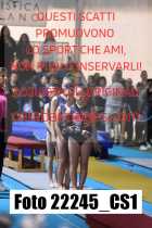 22245_CS1-