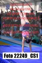 22249_CS1-