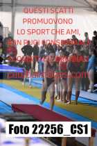 22256_CS1-
