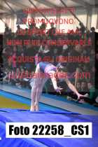 22258_CS1-