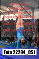 22284_CS1-