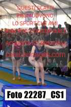 22287_CS1-