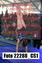 22288_CS1-
