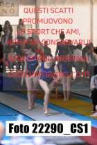 22290_CS1-