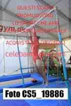 CS5_19886-