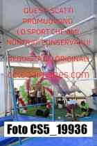 CS5_19936-