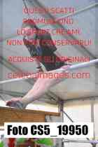 CS5_19950-
