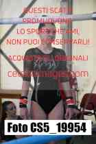CS5_19954-