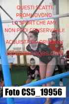 CS5_19956-