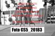 CS5_20183-