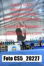 CS5_20227-