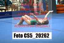 CS5_20262-