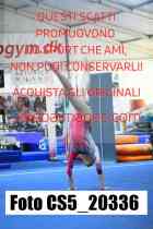 CS5_20336-